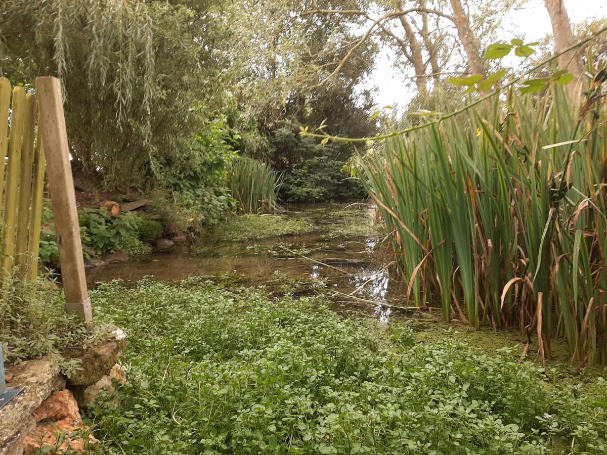 La Maison Des Lavandieres Le Conquet Ngoại thất bức ảnh
